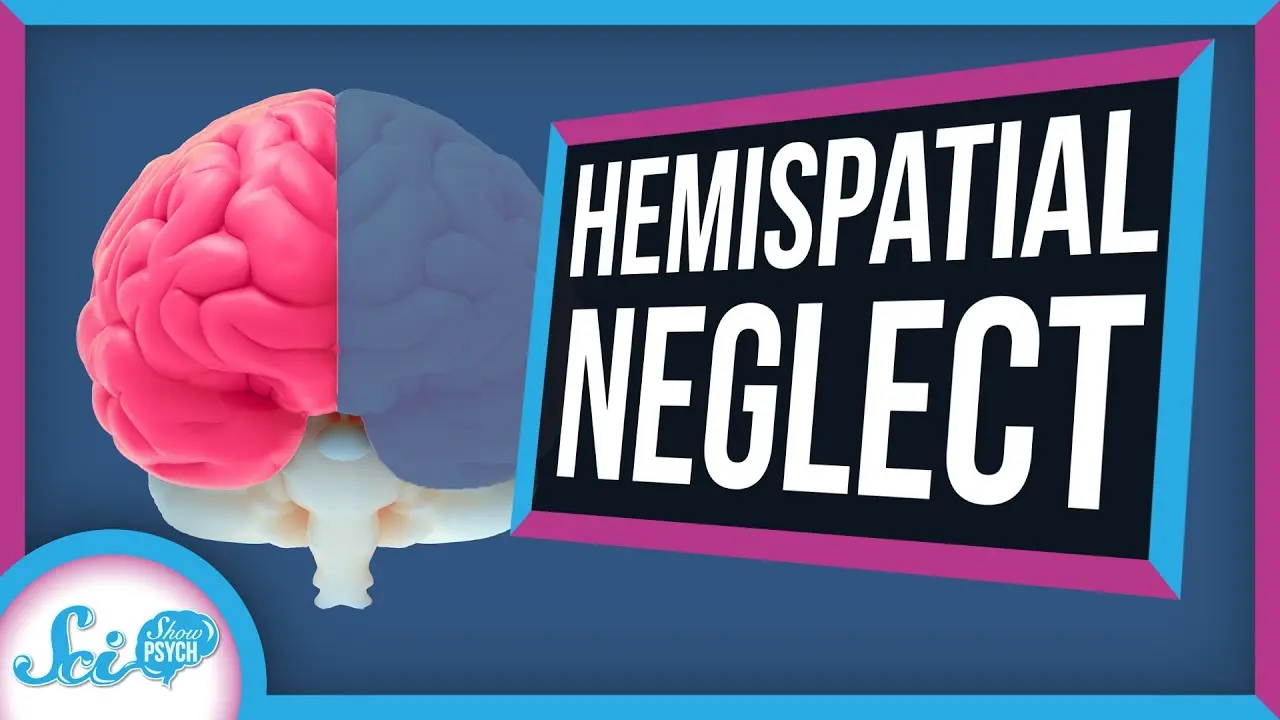 Hemispatial Neglect